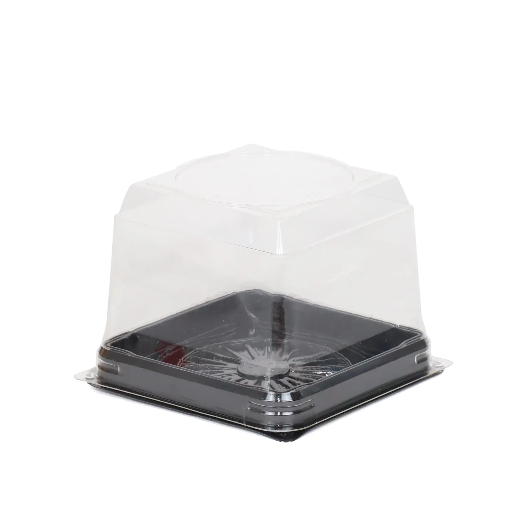 Kare Yaş Pasta Kabı Seti Siyah 12x12x9 cm - 50 Adet